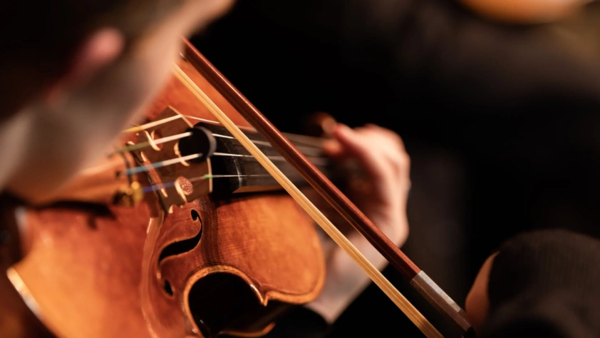 Bozeman Symphony Welcomes New Board Members